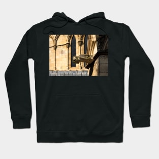 Gargoyle on York Minster 3 Hoodie